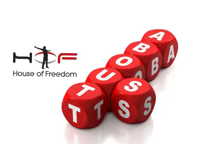 豆包产品与站点说明页面配图